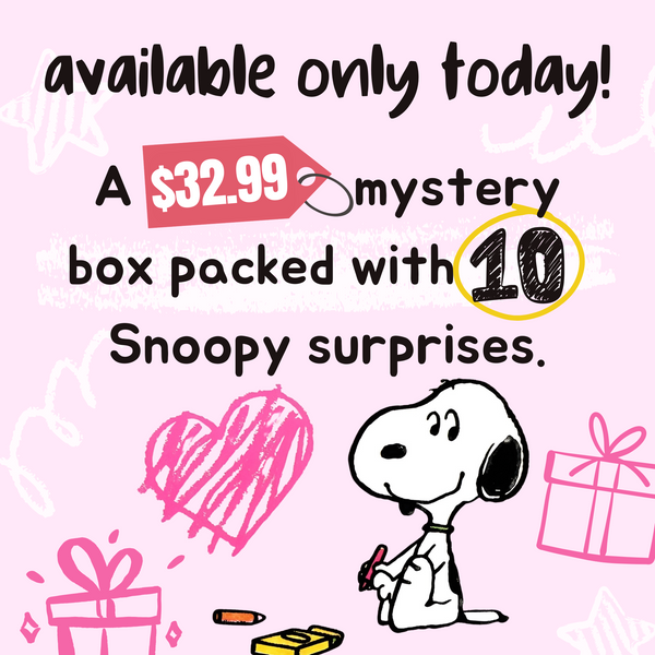 Snoopy Mystery Box