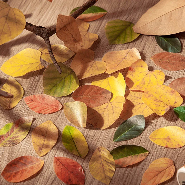 Fall Leaves Masking Sticker Roll