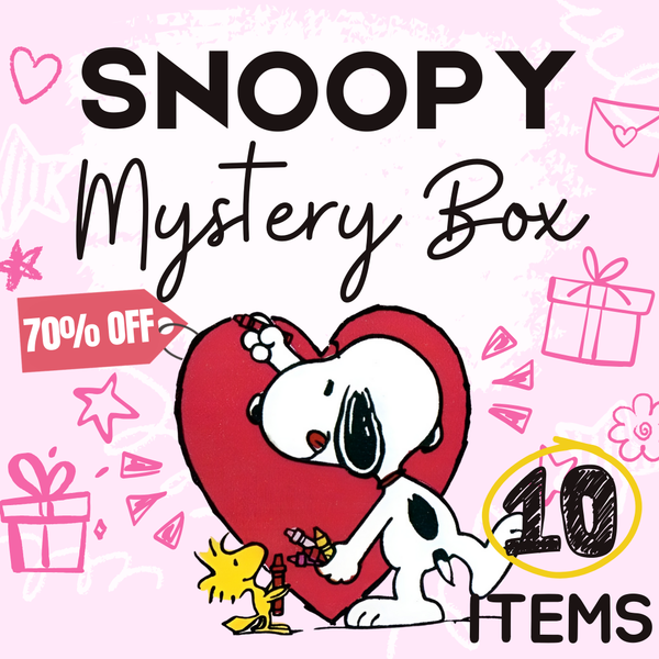 Snoopy Mystery Box